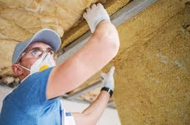 Best Wall Insulation Installation  in Potterville, MI